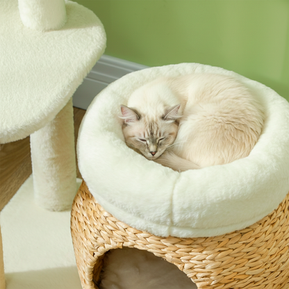 Cozy Cat Tree Tower