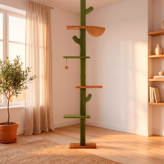 Cat tree in a room with a plant and shelves