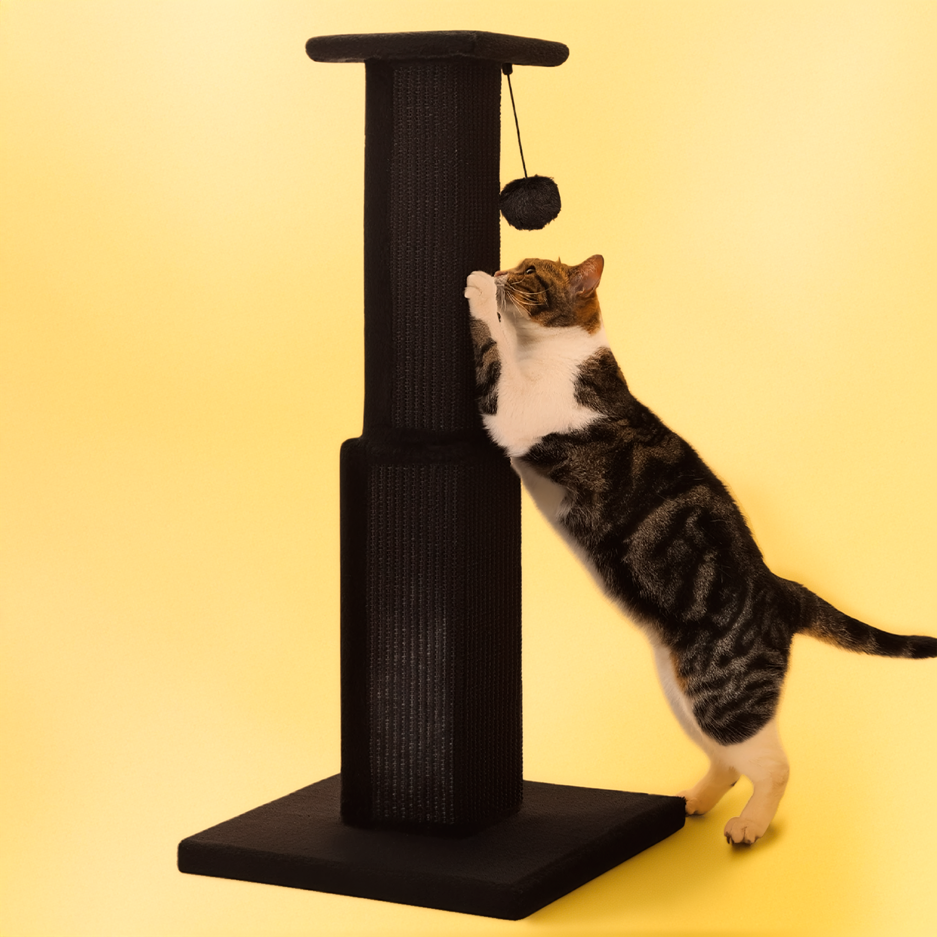 Cat playing with a ball on a cat scratching post