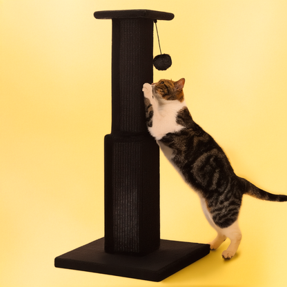Cat playing with a ball on a cat scratching post