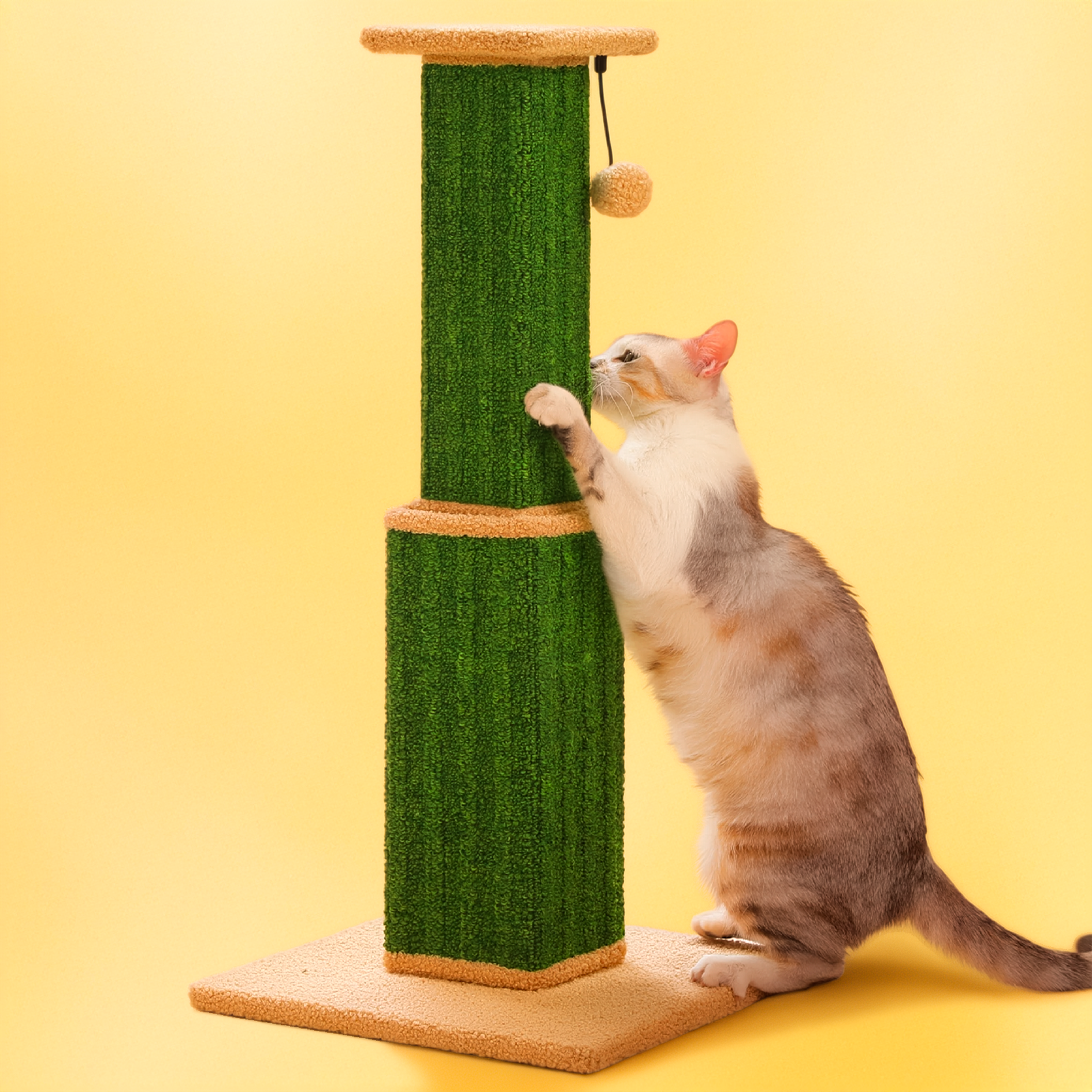 Cat playing with a ball on a cat scratching post