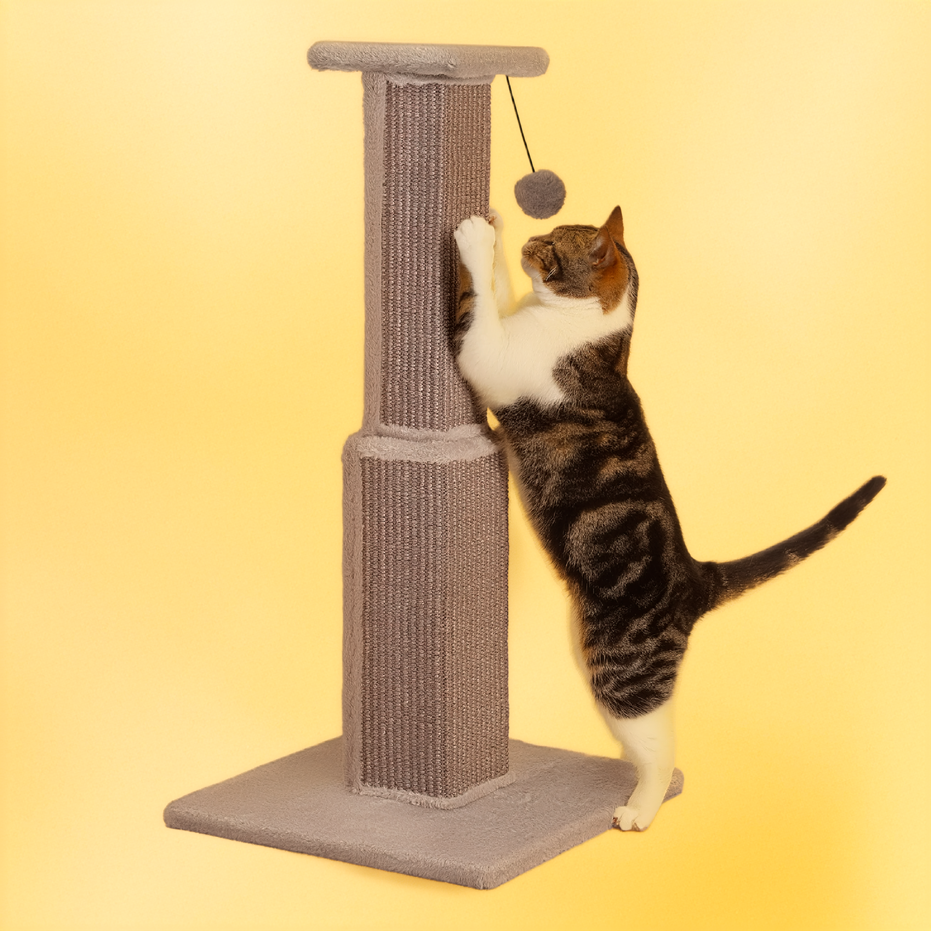 Cat playing with a ball on a cat scratching post