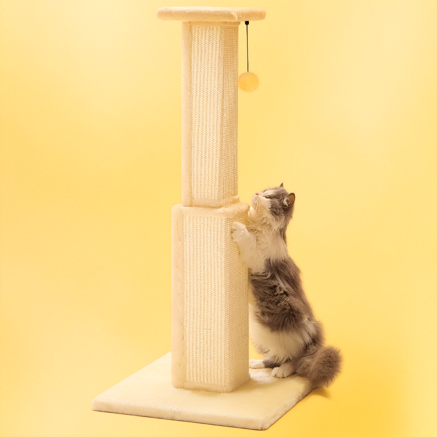 Cat playing with a ball on a cat scratching post