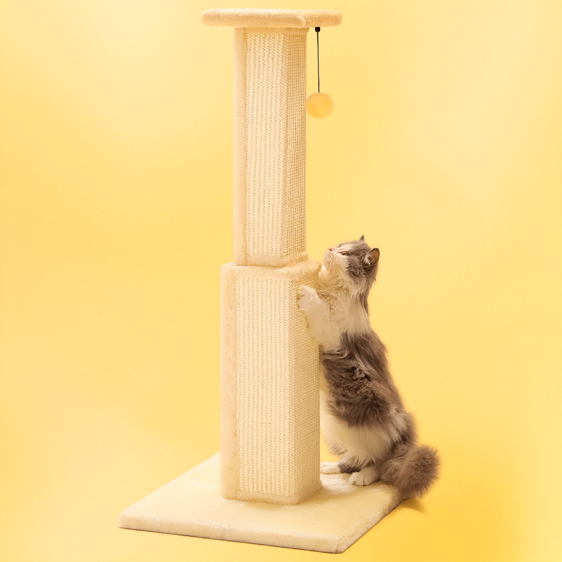 Cat playing with a ball on a cat scratching post