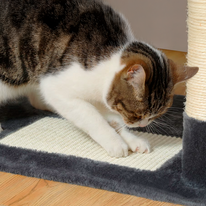 Cat cleaning itself on a textured mat next to a scratching post.
