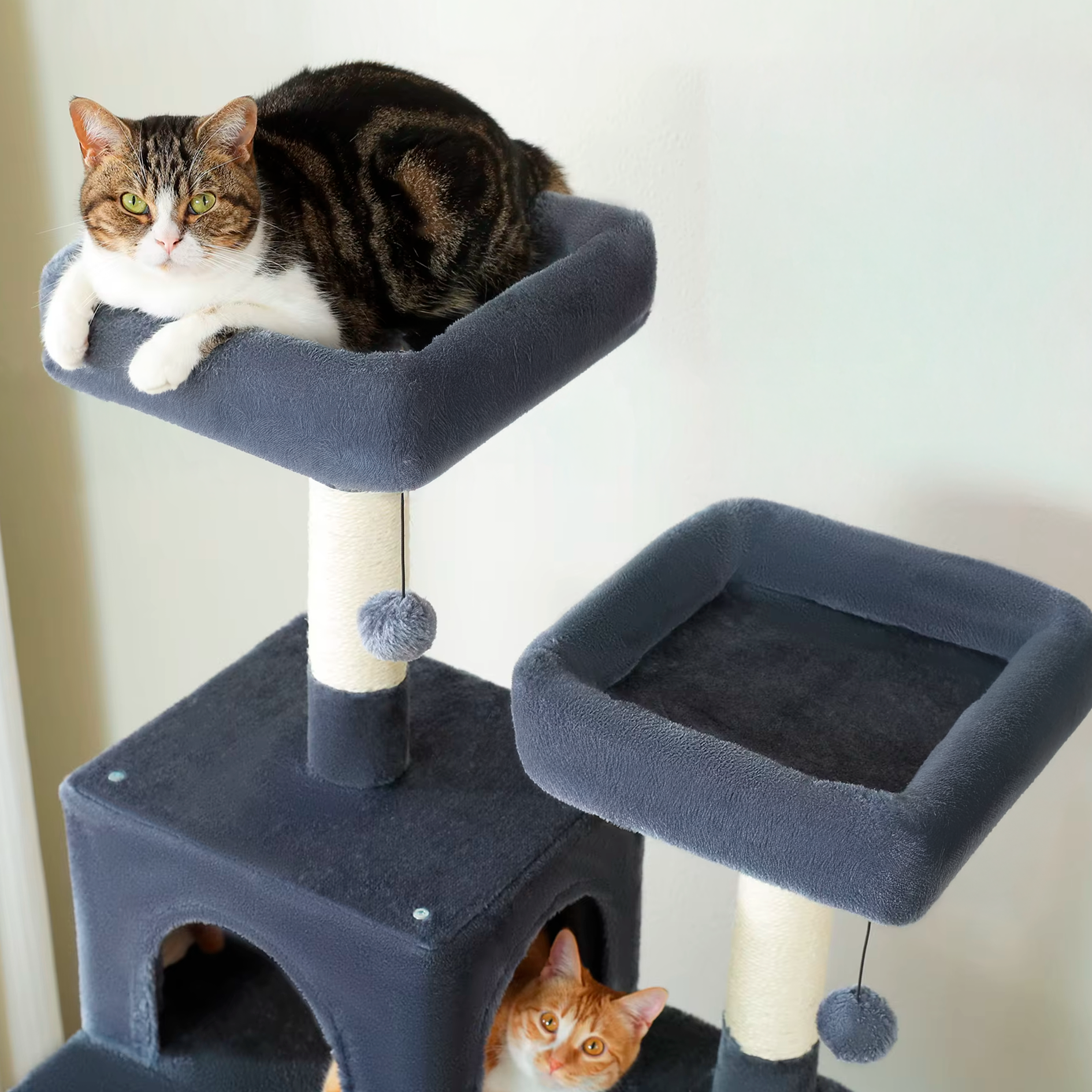 Cat sitting on a gray cat tree with another cat peeking from below.