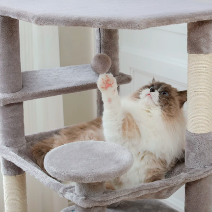 Cat playing with a toy on a cat tree