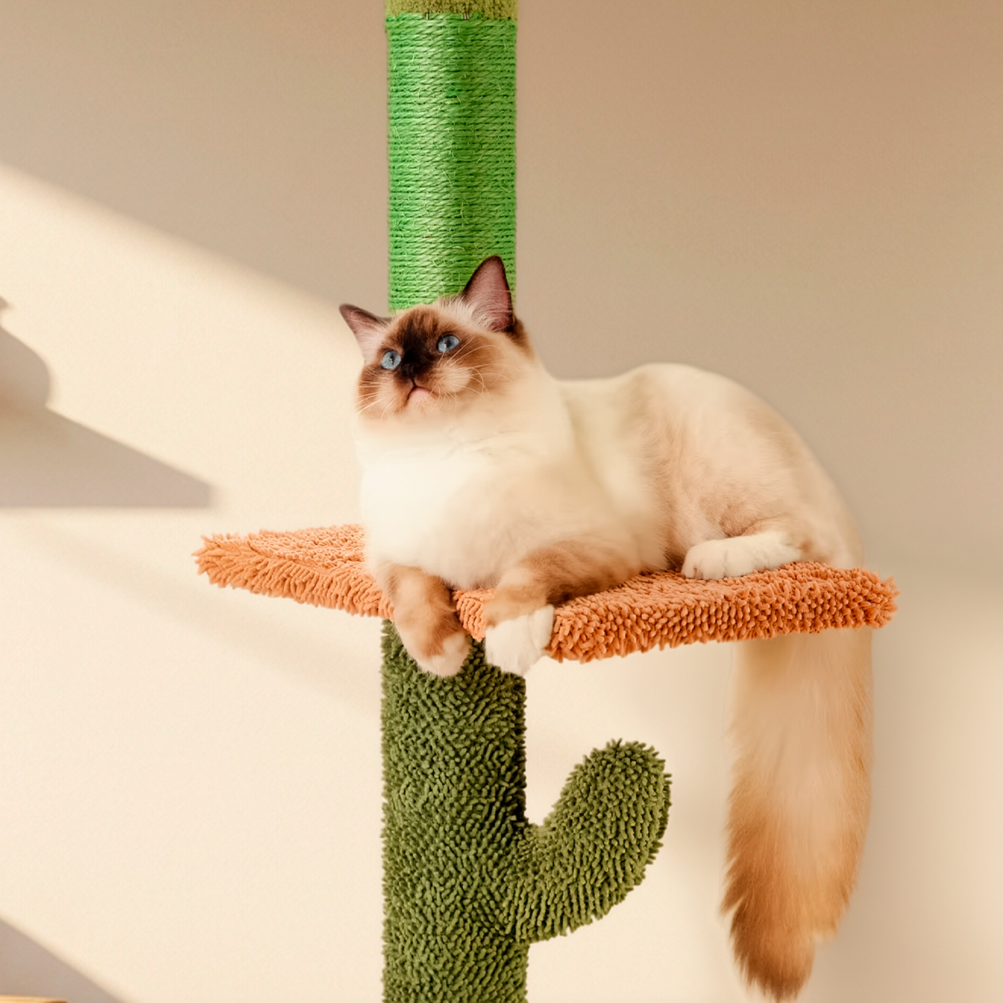Climbing Cactus Cat Tree